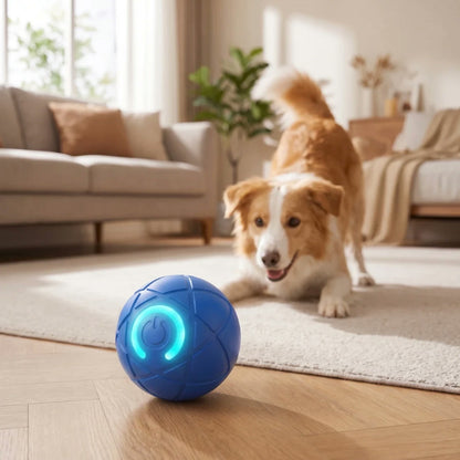 Rolly self-moving dog ball